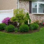 simple landscaping ideas