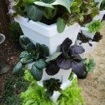 Magic tower hydroponic system