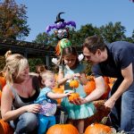 Long Island Pumpkin Harvest with Hicks Nurseries